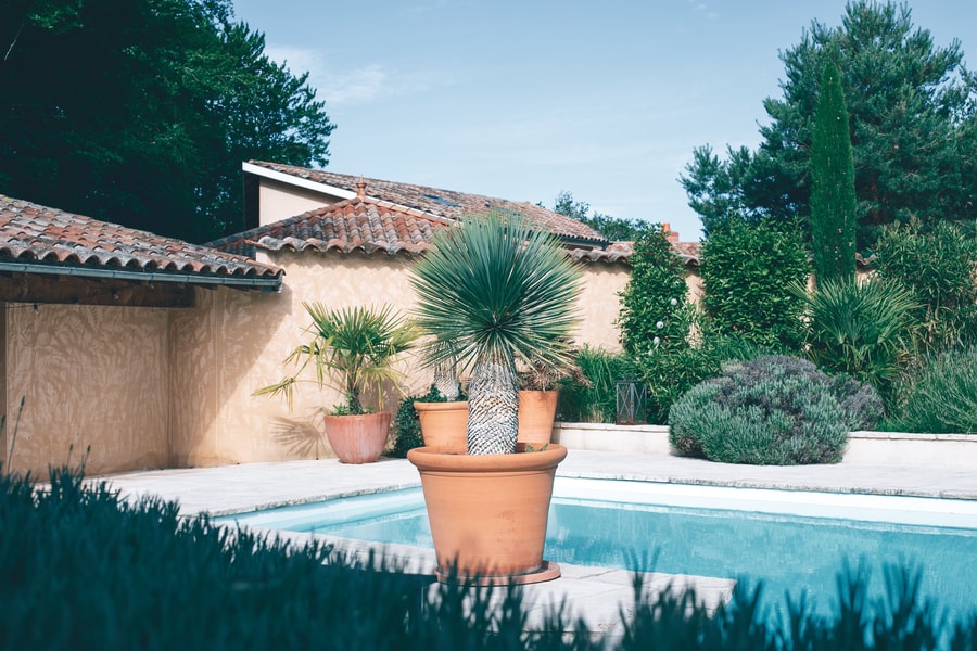 Image d'illustration 0